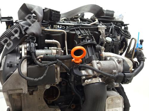 Engine SEAT IBIZA IV (6J5, 6P1) 1.6 TDI | BP29562334M1 