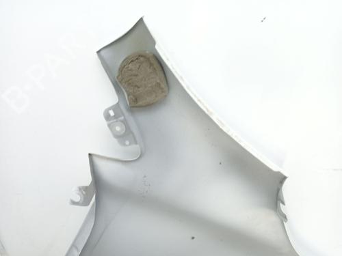 Left front fenders RENAULT KADJAR (HA_, HL_) 1.6 TCe 165 (HLMH) | BP29735159C41
