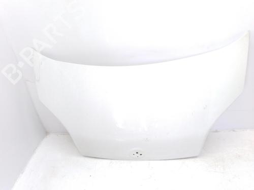 Hood FIAT FIORINO Box Body/MPV (225_)  | BP13743892C1 
