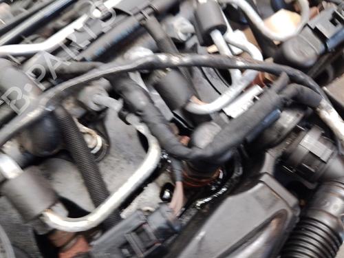 Engine VW GOLF VI (5K1) 1.6 TDI | BP30686858M1 - Image 25
