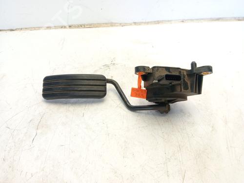 Pedal RENAULT SCÉNIC II (JM0/1_) 2.0 dCi (JM1K) | BP29210658I4 