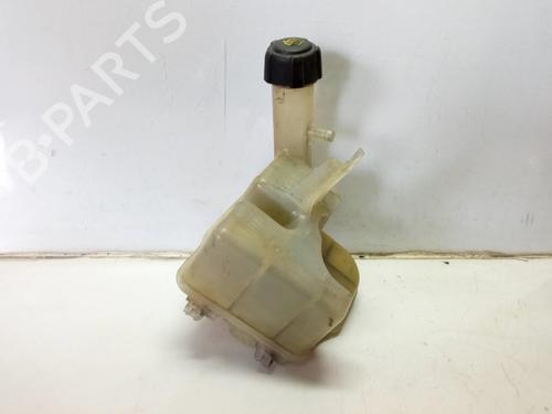 Expansion tank RENAULT LAGUNA II Grandtour (KG0/1_) 1.9 dCi (KG0G) | BP10174093C120 