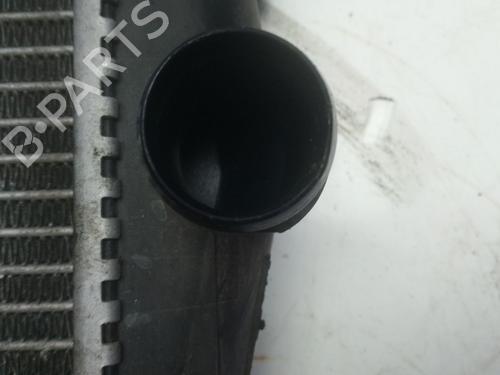 Water radiator NISSAN QASHQAI I (J10, NJ10)  | BP30774001M31 