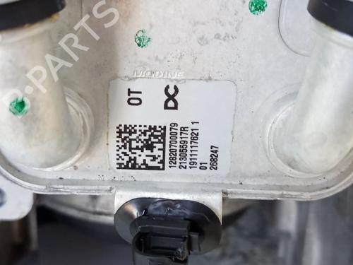 Engine RENAULT CLIO V (B7_) 1.0 TCe 100 (B7MT) | BP29500753M1 