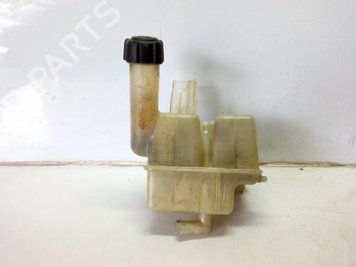 Expansion tank RENAULT LAGUNA II Grandtour (KG0/1_) 1.9 dCi (KG0G) | BP10174093C120 