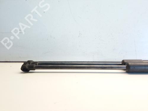 Tailgate lift support BMW X5 (E53) 4.4 i | BP18301958C138 