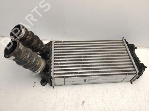 Intercooler Intercooler PEUGEOT 2008 II (UD_, US_, UY_, UJ_, UR_, UC_) [2019-2026] 33795906 33795906
