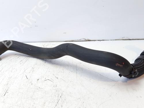 Rohr für RENAULT CLIO V (B7_) 1.0 TCe 100 (B7MT) (101 hp) 31185040