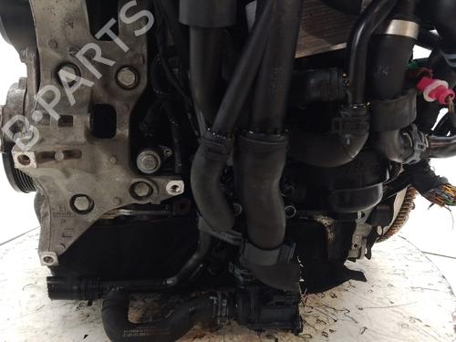 Engine SEAT LEON (5F1) 1.6 TDI | BP31697319M1 