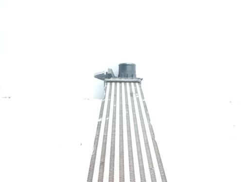 Intercooler FIAT DUCATO Van (250_) 130 Multijet 2,3 D 4x4 | BP21495899M30 