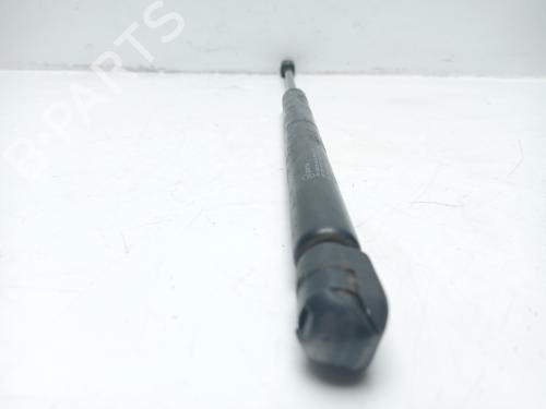 Tailgate lift support VW GOLF V (1K1)  | BP16862793C138 