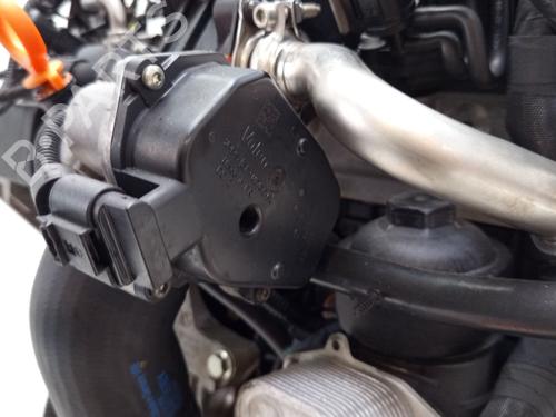 Engine SEAT IBIZA IV (6J5, 6P1) 1.6 TDI | BP29562334M1 