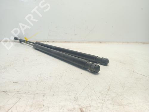 Tailgate lift support HYUNDAI TUCSON (JM) | BP31158579C138