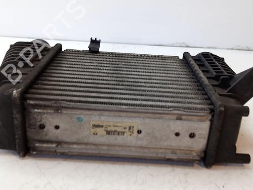 Intercooler RENAULT MODUS / GRAND MODUS (F/JP0_) 1.5 dCi (FP0F, JP0F) | BP30923834M30