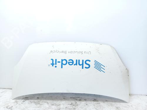 Hood IVECO DAILY IV Van | BP21082286C1