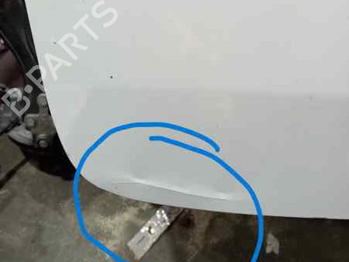 Tailgate RENAULT MEGANE III Hatchback (BZ0/1_, B3_)  | BP20724683C6 
