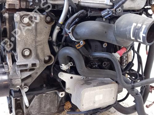 Engine RENAULT TALISMAN (LP_) 1.6 dCi 130 | BP28795413M1 