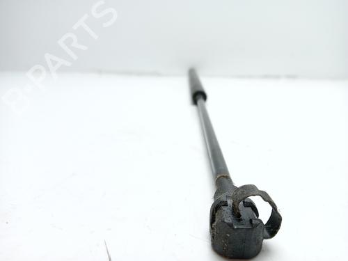 Tailgate lift support CITROËN SAXO (S0, S1)  | BP16862522C138 