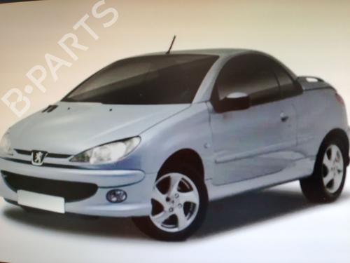 Front left window mechanism PEUGEOT 206 CC (2D)  | BP19132897C22 