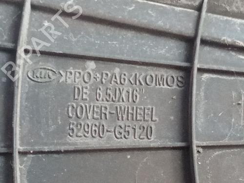 Hub cap KIA NIRO I (DE)  | BP31213635C160 