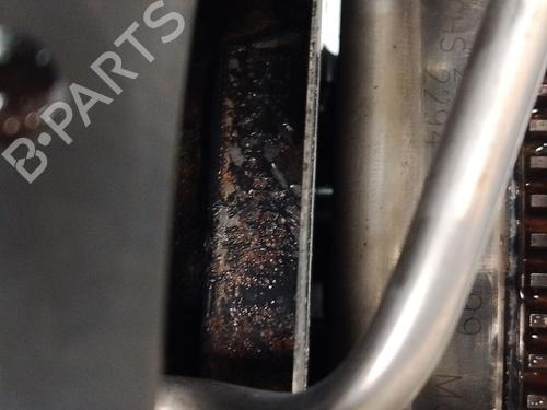 Engine VW GOLF V (1K1) 1.9 TDI | BP31697313M1 