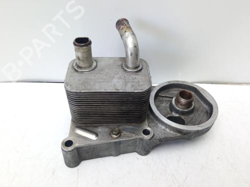 Used Oil radiator Oil radiator FORD FOCUS I (DAW, DBW) 1.8 TDCi (115 hp) 19031322 19031322