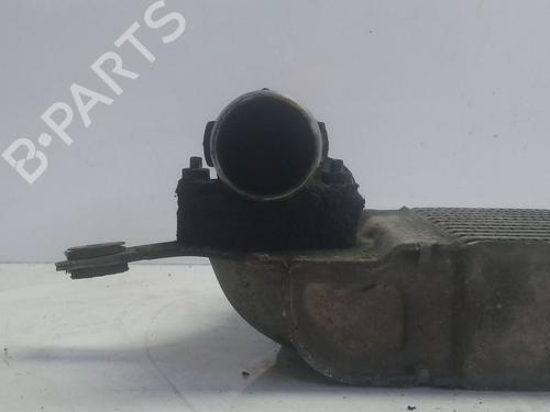 Intercooler NISSAN QASHQAI I (J10, NJ10) | BP30923801M30