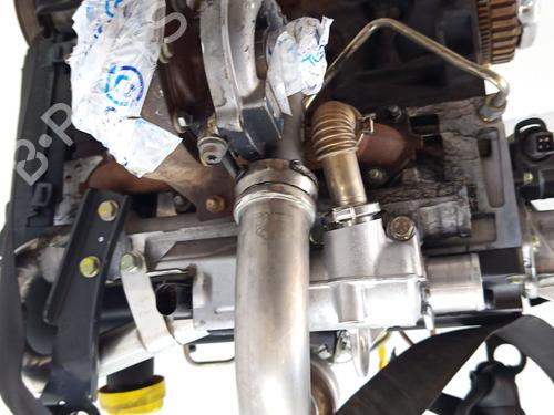 Engine RENAULT MEGANE II (BM0/1_, CM0/1_) | BP29074281M1