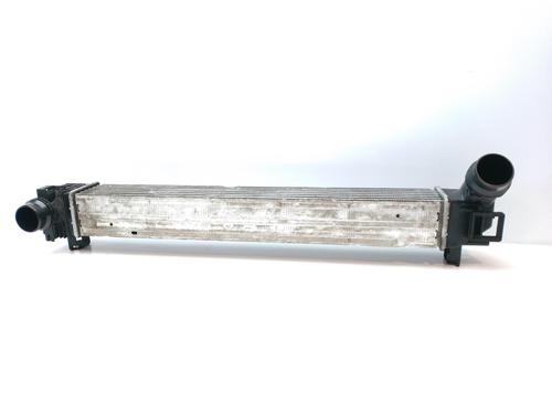 Intercooler RENAULT MEGANE III Hatchback (BZ0/1_, B3_) 1.5 dCi | BP12845980M30 