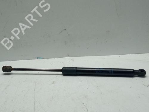gasdmper-bagklap-renault-modus-grand-modus-fjp0_-2004-32868379 main image