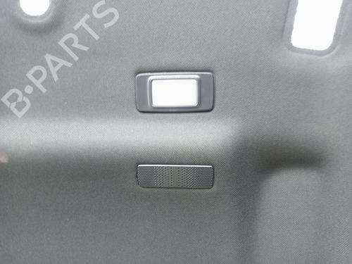 Innendach RENAULT CLIO V (B7_) 1.0 TCe 100 (B7MT) | BP31213600I12