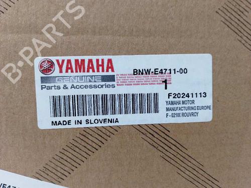 Exhaust system YAMAHA MOTORCYCLES TENERE Tenere 700 (DM08) | BP24703181M121 