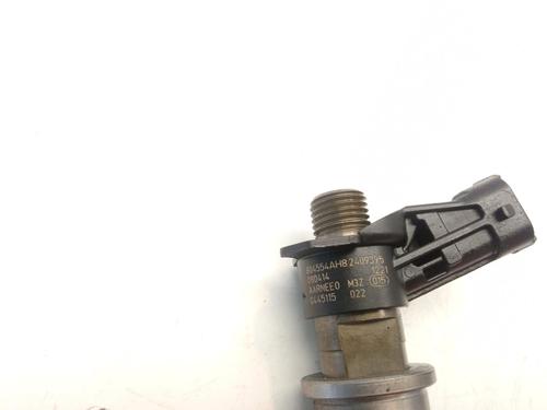 Injector NISSAN X-TRAIL II (T31) 2.0 dCi | BP9711816M100 