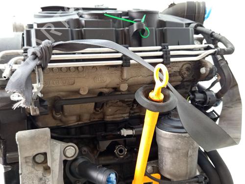 Engine SEAT IBIZA IV SC (6J1, 6P5) 1.9 TDI | BP29361020M1 