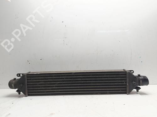 Used Intercooler Intercooler FIAT BRAVO II (198_) 1.9 D Multijet (198AXB1A) (120 hp) 34058507 34058507