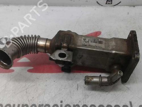 Used Egr Egr 7951384 7951384