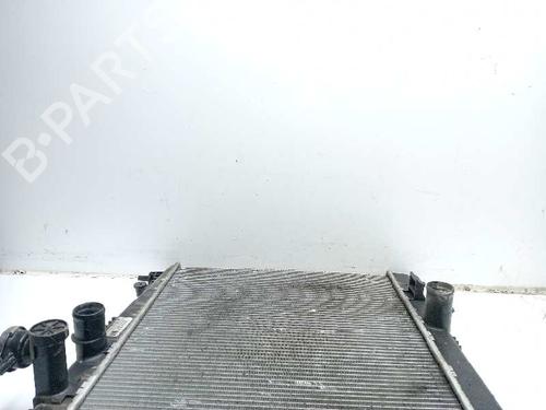 Water radiator NISSAN JUKE (F15) 1.5 dCi | BP22407991M31 