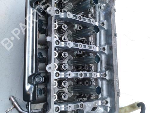 Used Cylinder head TOYOTA C-HR (_X1_) [2016-2025]  25017830