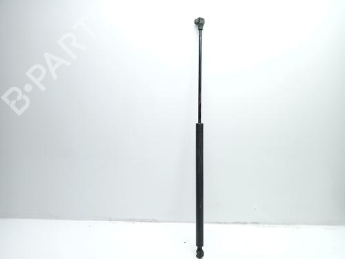 Tailgate lift support CITROËN SAXO (S0, S1)  | BP16862522C138 