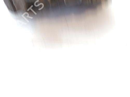 Hand brake RENAULT SCÉNIC II (JM0/1_) 1.9 dCi (JM0G, JM12, JM1G, JM2C) | BP31210443I18 