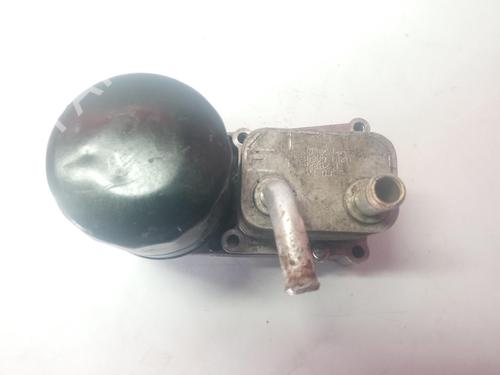 Oil radiator FORD FOCUS I (DAW, DBW)  | BP14224856M33 