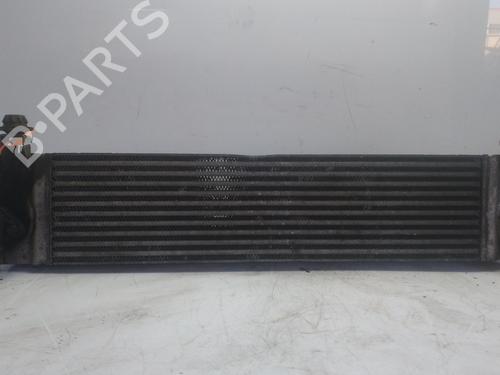 Ladeluftkühler für NISSAN QASHQAI I (J10, NJ10) [2006-2015]  30923801