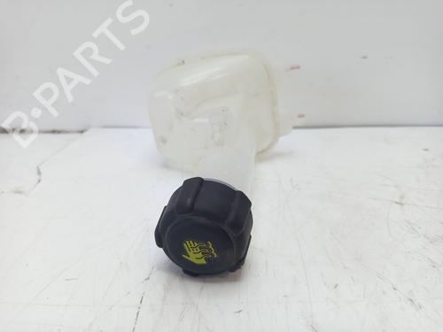 Ekspansjonstank Ekspansjonstank RENAULT CAPTUR II (HF_) 1.0 TCe 90 ECO-G (HFM6) (91 hp) 33954605 33954605