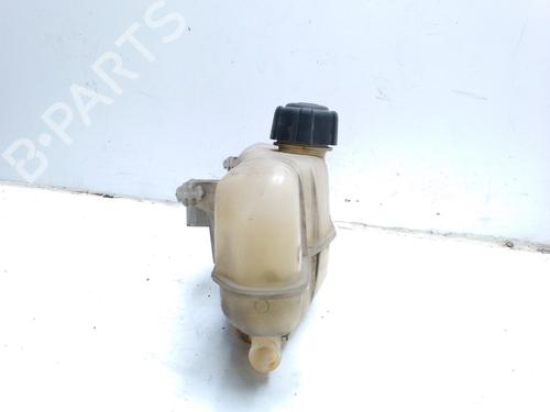 Expansion tank RENAULT CLIO III (BR0/1, CR0/1)  | BP22387896C120 
