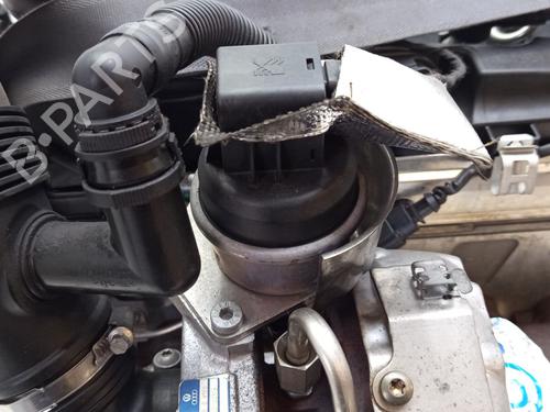 Engine SEAT IBIZA IV (6J5, 6P1) 1.6 TDI | BP29562334M1 