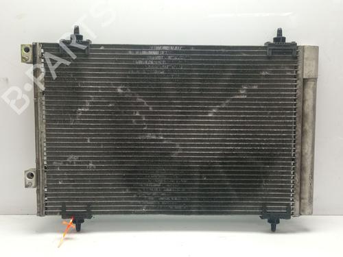 Heater matrix PEUGEOT PARTNER Box Body/MPV  | BP31144616M63 
