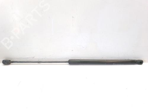 Tailgate lift support AUDI A3 (8V1, 8VK) 2.0 TDI | BP14225327C138 