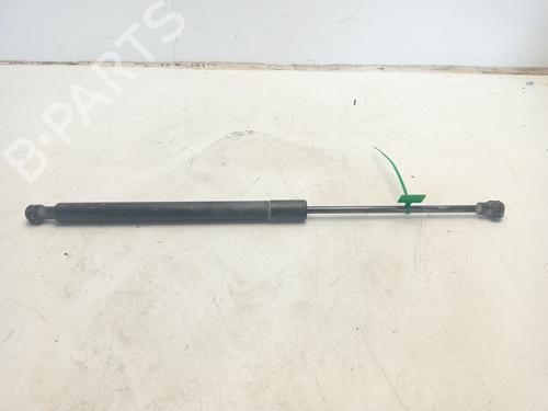 tailgate-lift-support-renault-clio-iv-bh_-2012-2013-2014-2015-2016-2017-2018-2019-2020-2021-30358861 main image