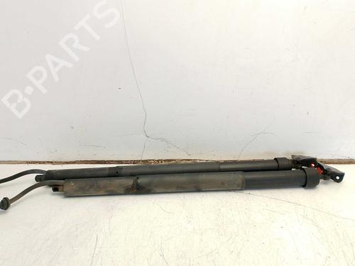 Used Tailgate lift support Tailgate lift support TOYOTA YARIS (_P13_) [2010-2020] 40623964 40623964