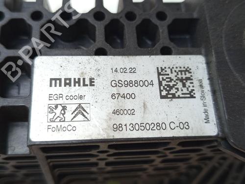 Egr PEUGEOT 2008 I (CU_)  | BP31214245M69 